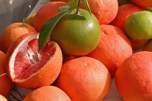Le Citron du Bassin - Pamplemousse