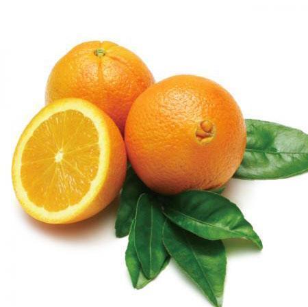 Le Citron du Bassin - Orange